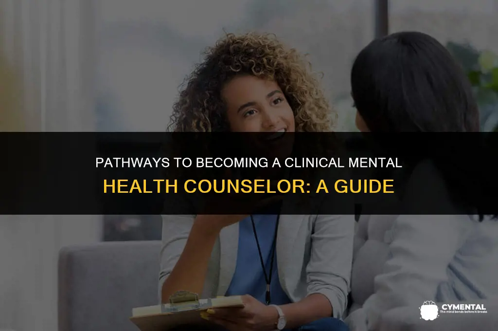 how to become a clinical mental health counselor