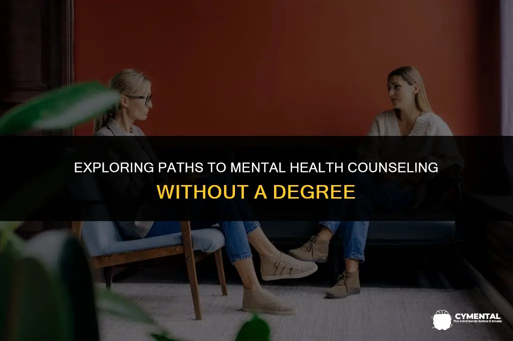 how to become a mental health counselor without a degree