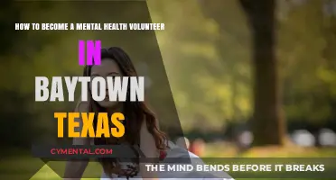 Empowering Baytown: A Guide to Mental Health Volunteering Opportunities