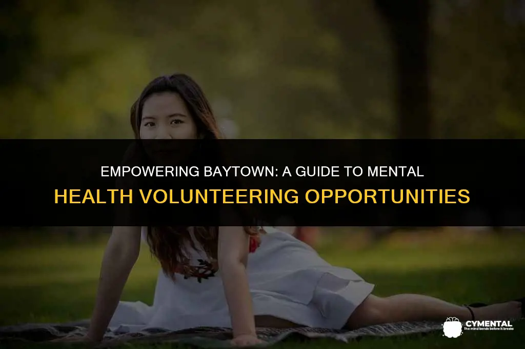 how to become a mental health volunteer in baytown texas