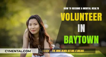 Empowering Baytown: A Guide to Mental Health Volunteering Opportunities