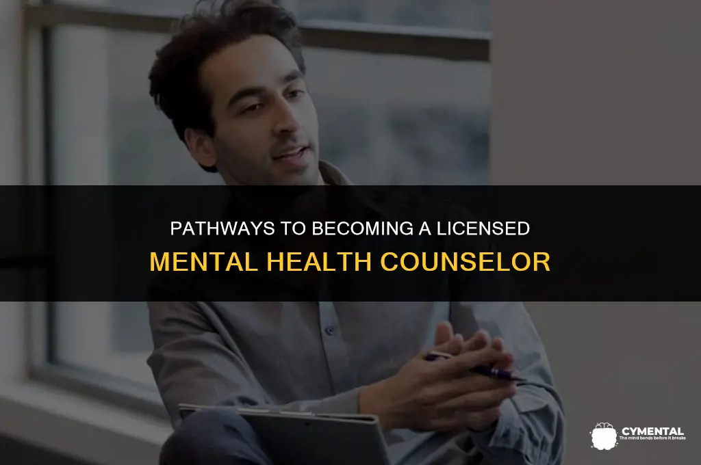 how to become licensed mental health counselor