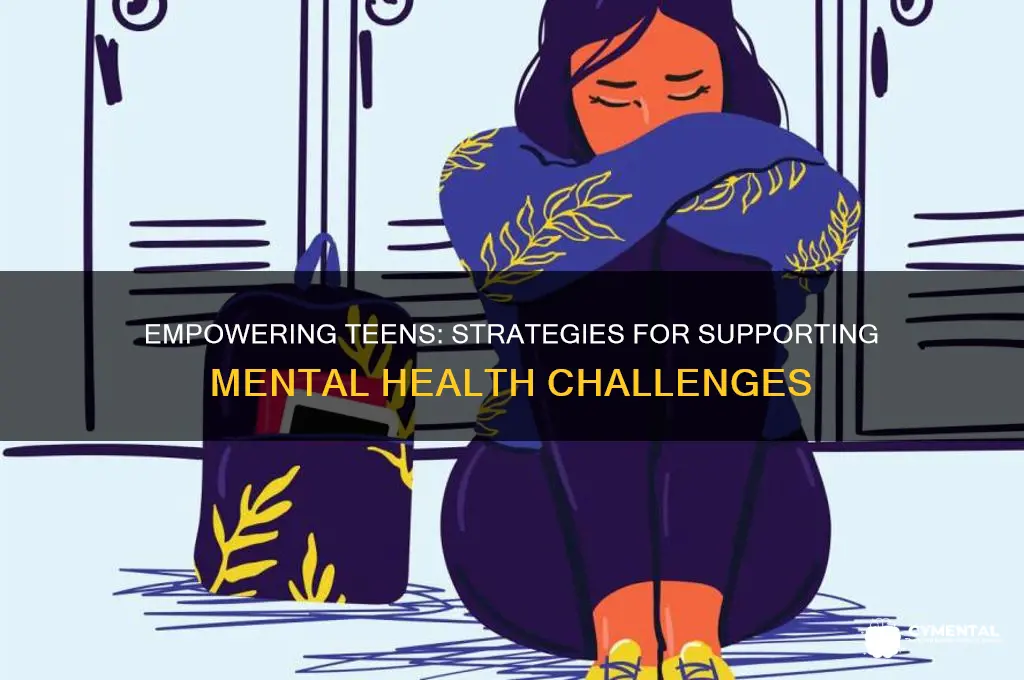 how to best work with teens with mental halth issues