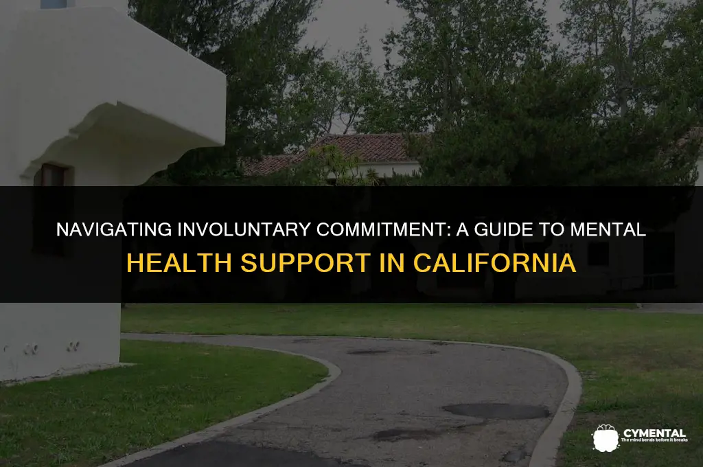 how to commit someone to a mental institution in california