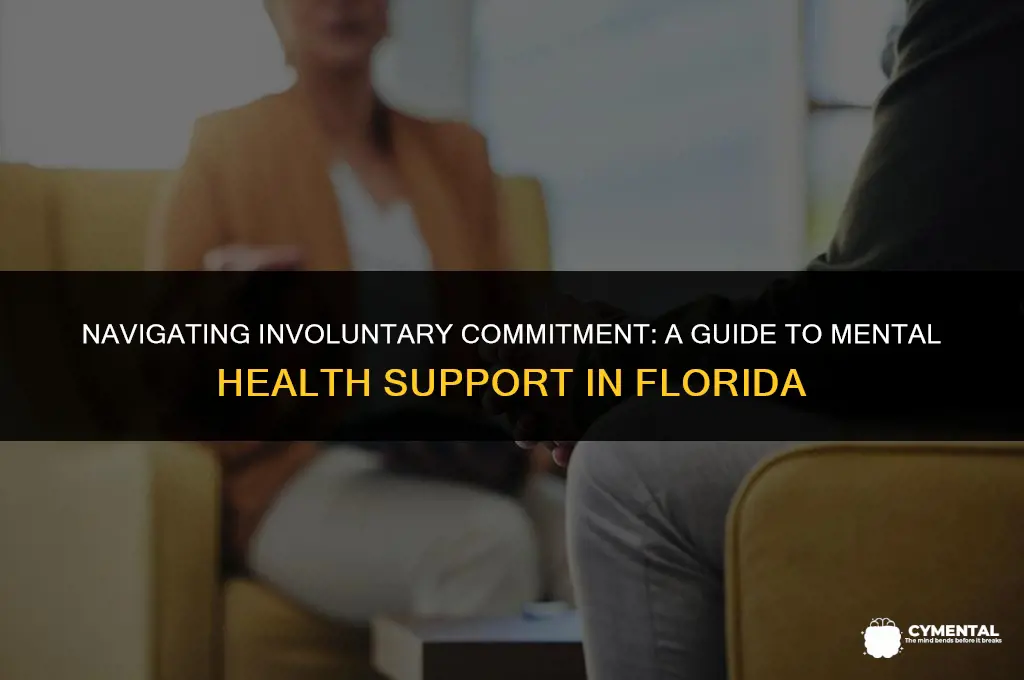 how to commit someone to a mental institution in florida