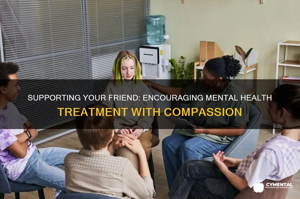 how to convince a mentally ill friend to seek help