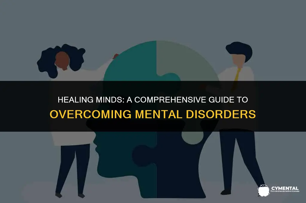 how to cure mental disorder