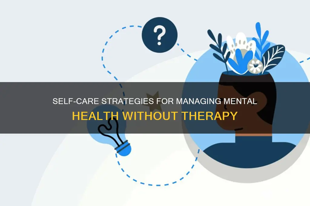 how to deal with mental health issues without therapy