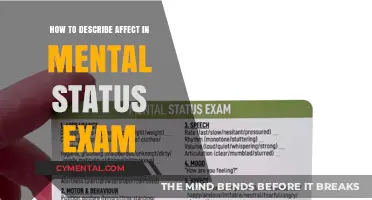 Exploring Emotional States: A Guide to Describing Affect in Mental Status Exams