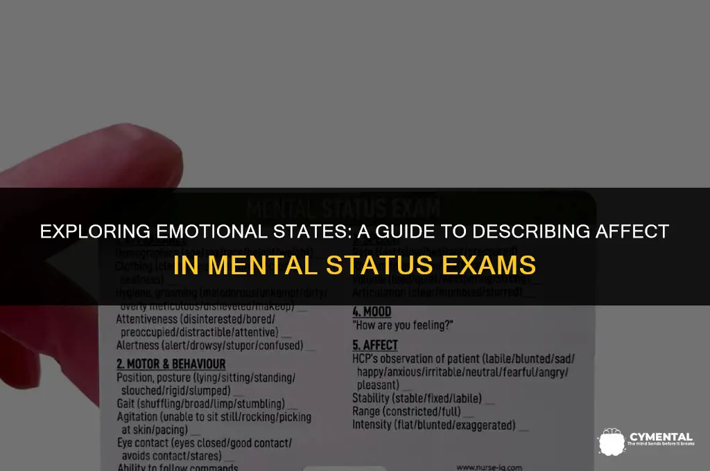 how to describe affect in mental status exam