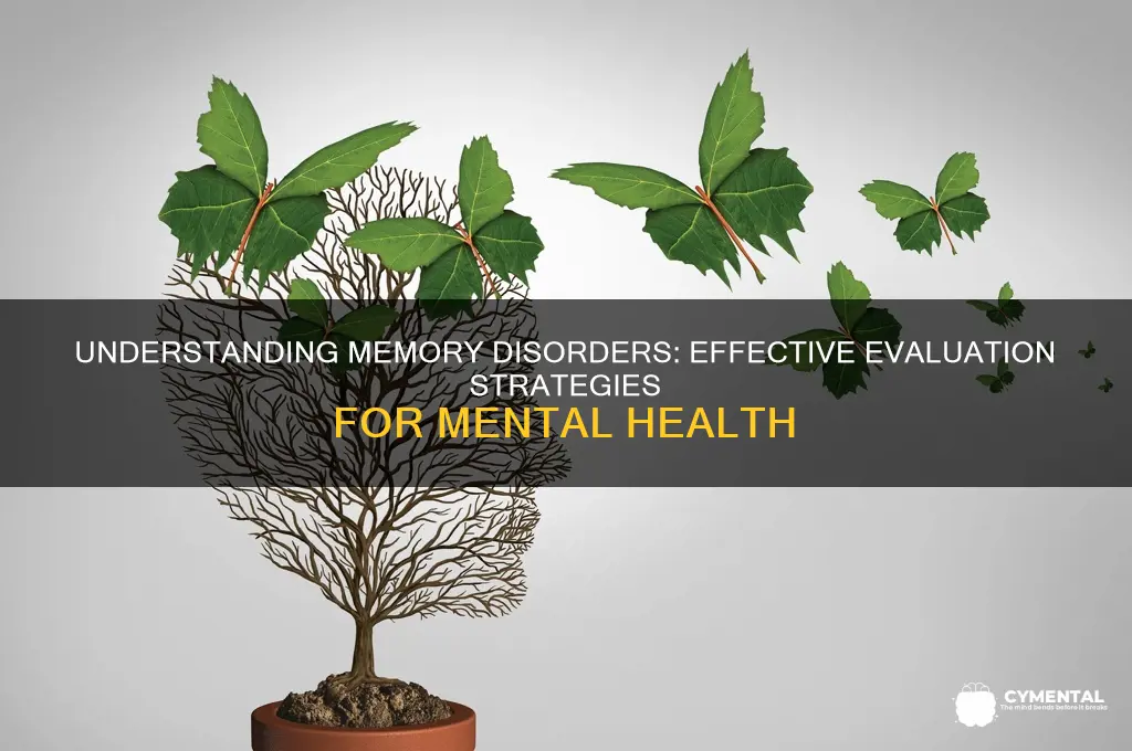how to evaluate memory mental issues