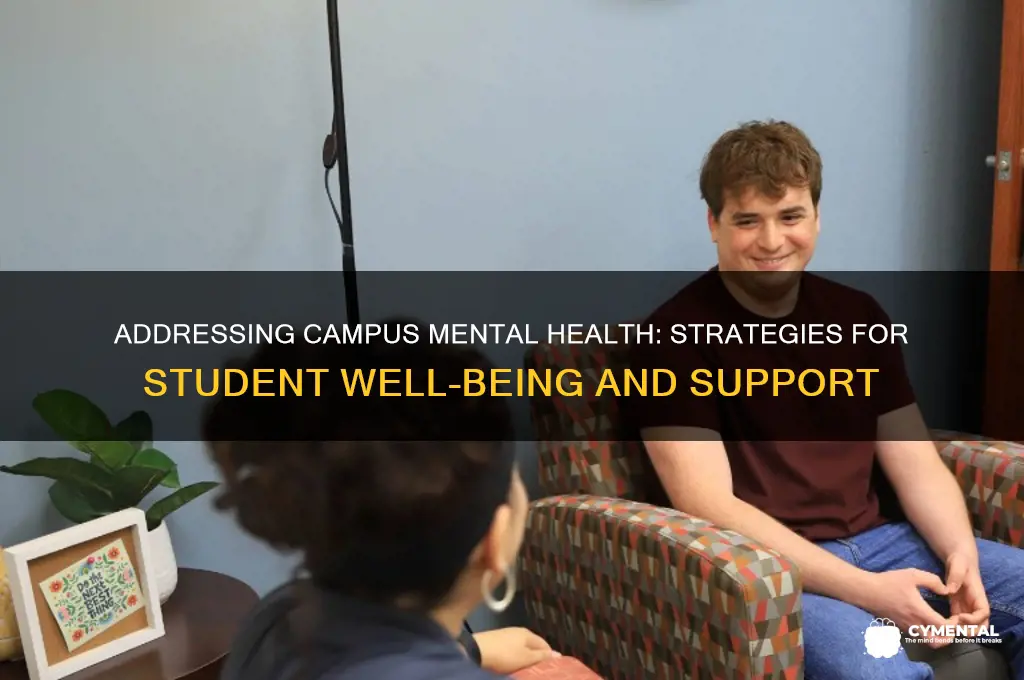 how to fix mental health issues faced on university campuses