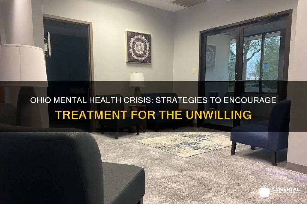 how to force mentally ill to get help in ohio