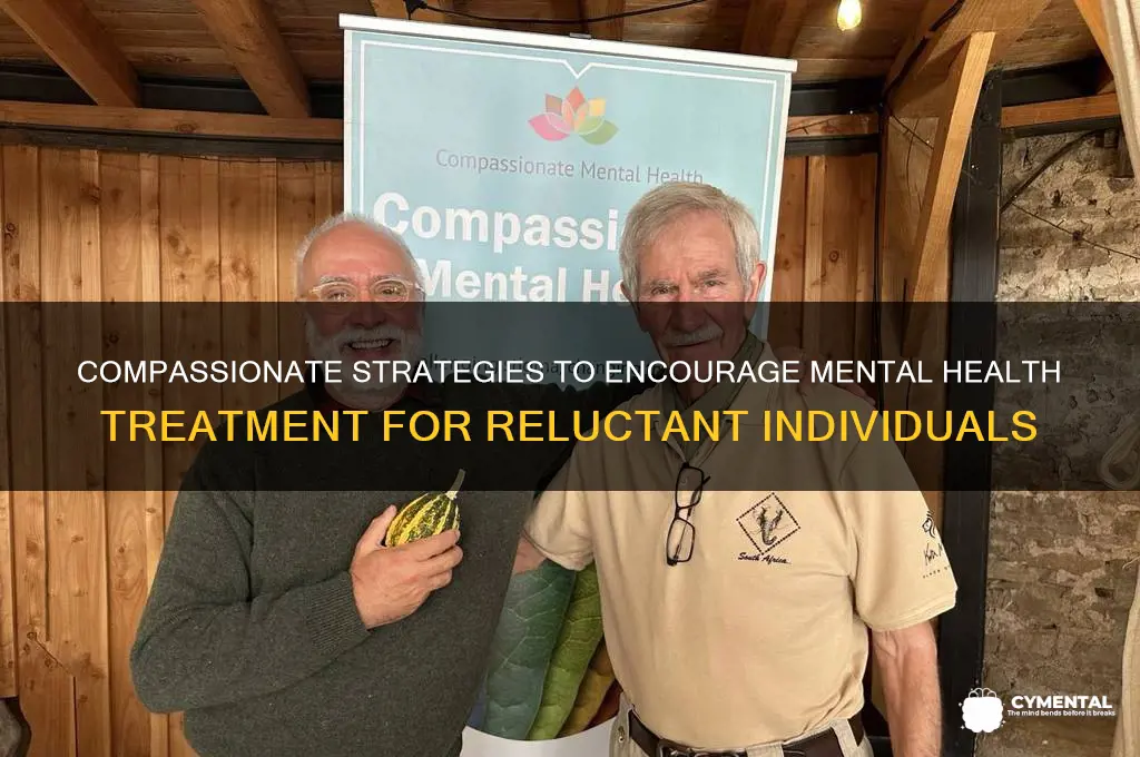 how to force mentally ill to get help