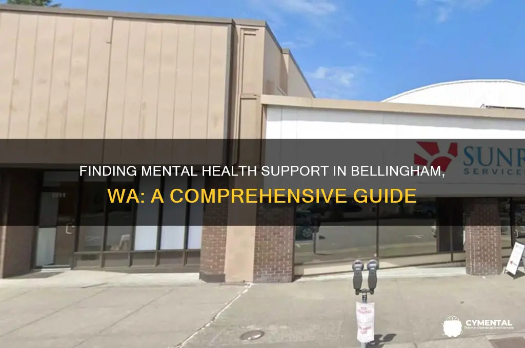 how to ger mental help in bellingham wa