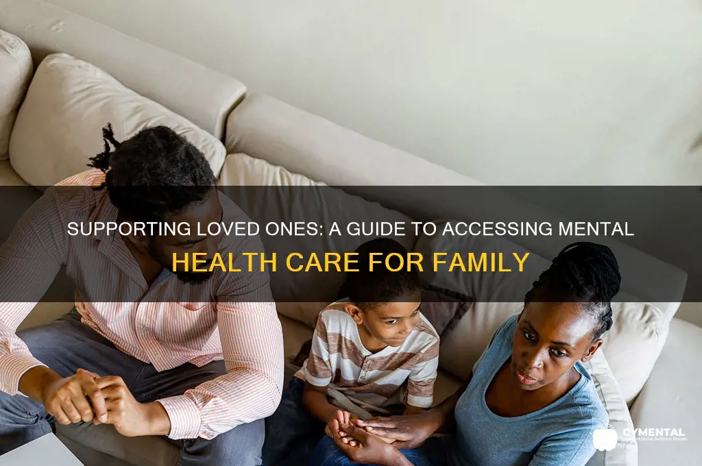 how to get a family member mental help