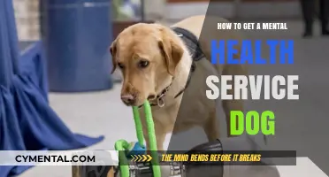 Paws for Support: Your Guide to Getting a Mental Health Service Dog