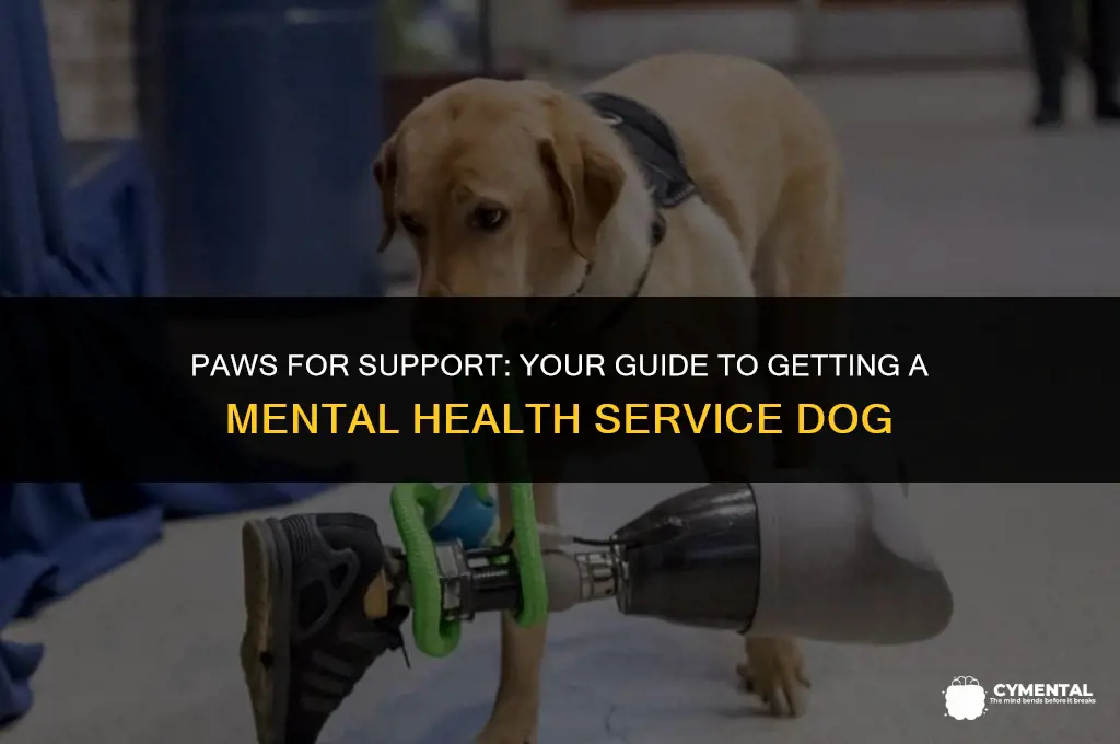 how to get a mental health service dog