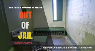 Navigating the Complex Process: Helping Mentally Ill Individuals Leave Jail