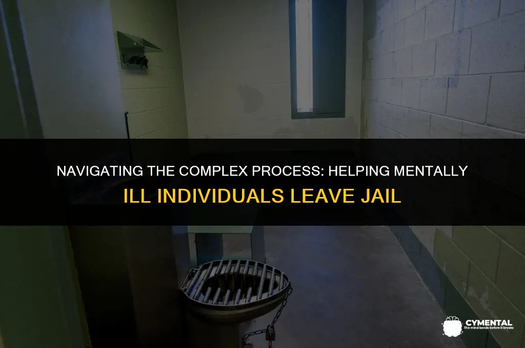 how to get a mentally ill person out of jail