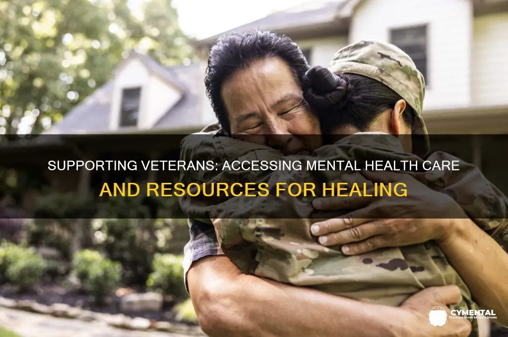 how to get a veteran mental help