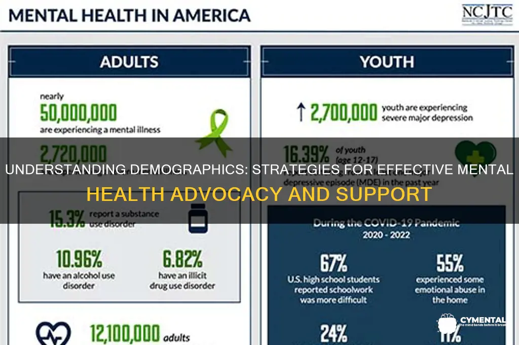 how to get demographics for mental health issues work