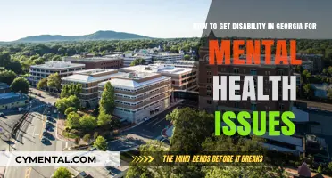 Navigating Georgia's Disability Benefits for Mental Health Challenges