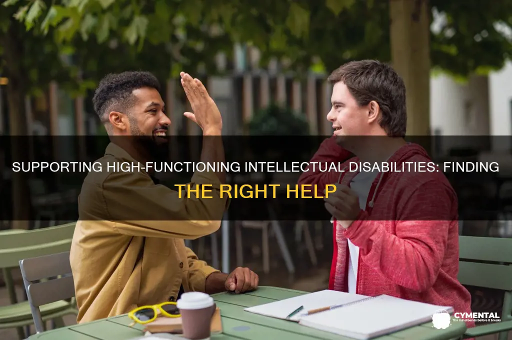 how to get help for a highly functioning mental retardation