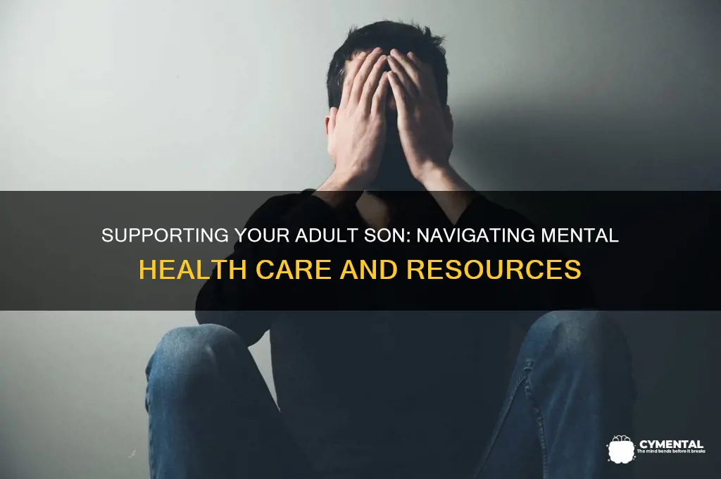 how to get help for a mentally ill adult son