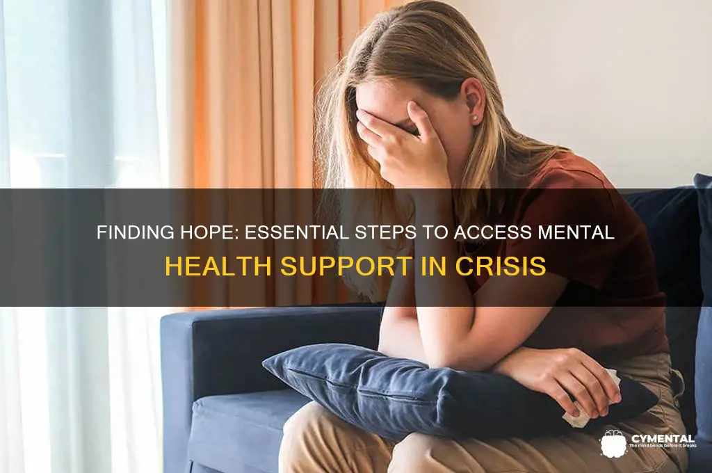 how to get help for desperate mental health
