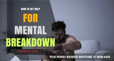 Seeking Support: A Guide to Recovering from Mental Breakdown