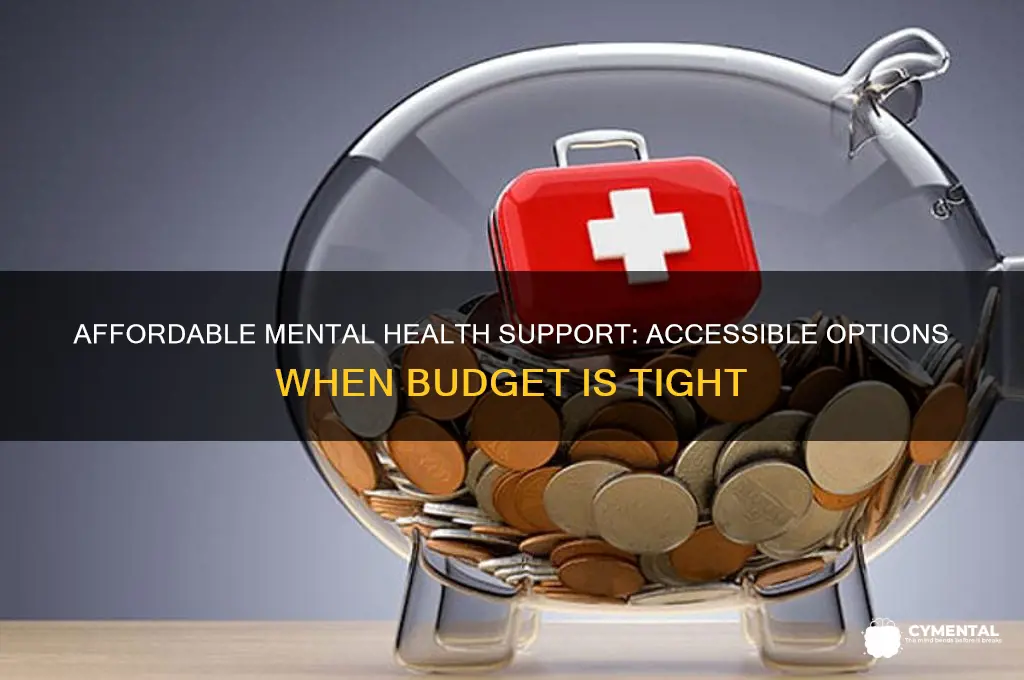 how to get mental help but cant afford it