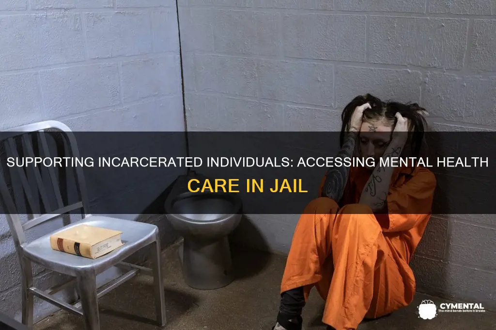 how to get mental help for someone in jail