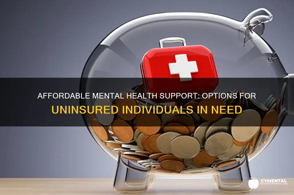 how to get mental help for someone without insurance