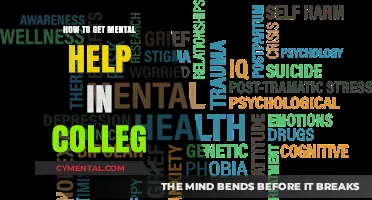Navigating College Mental Health: Finding Support and Resources for Students