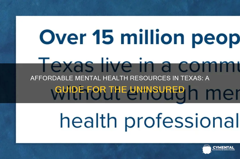 how to get mental help without insurance in texas