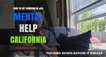 Accessing Mental Health Support for Incarcerated Individuals in California