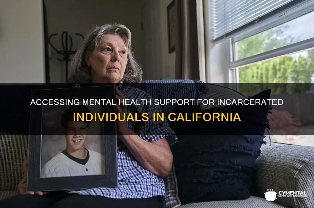 how to get someone in jail mental help california