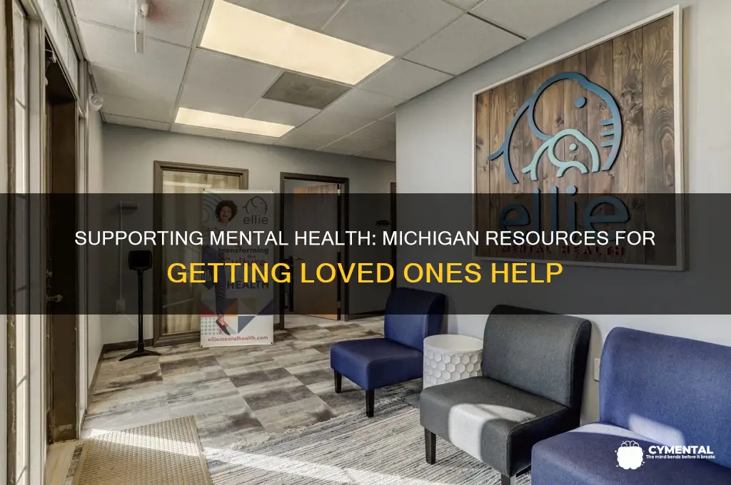 how to get someone with mental illness help michigan