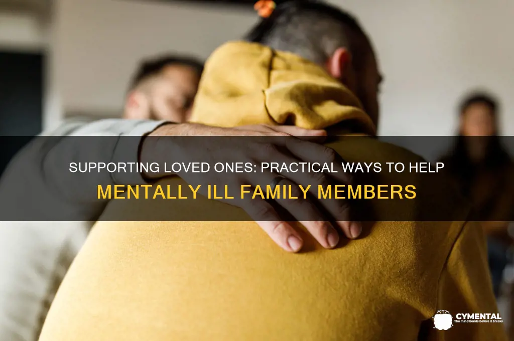 how to help a family member who is mentally ill