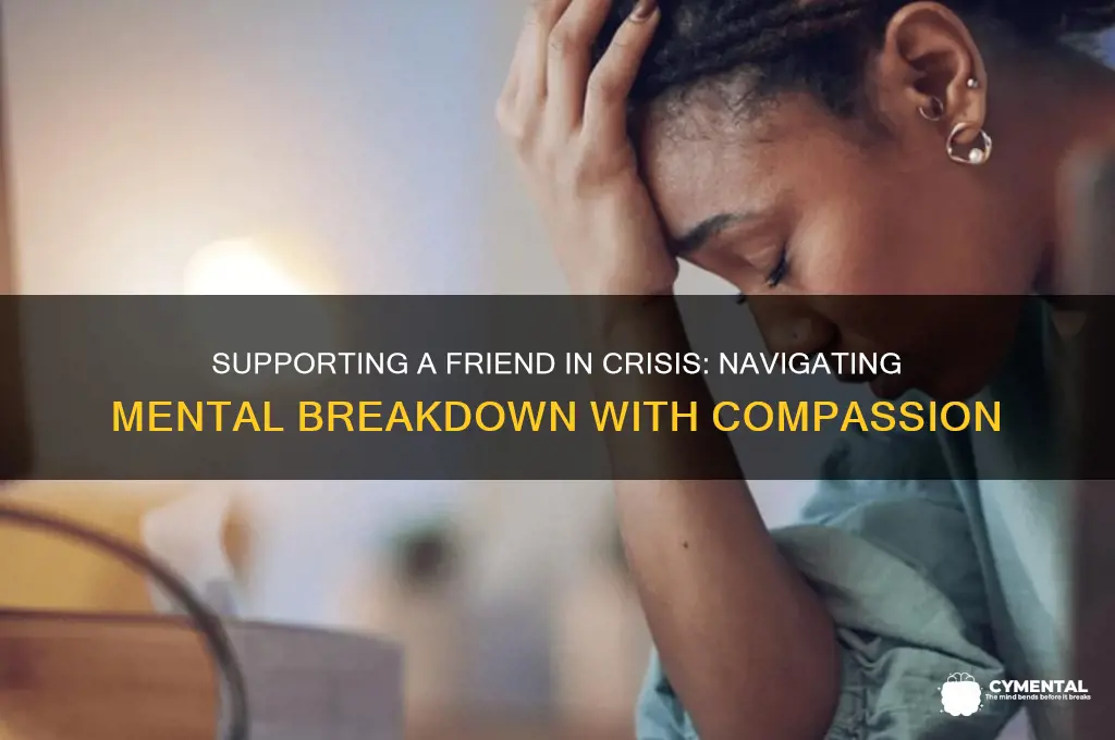 how to help a friend having a mental breakdown