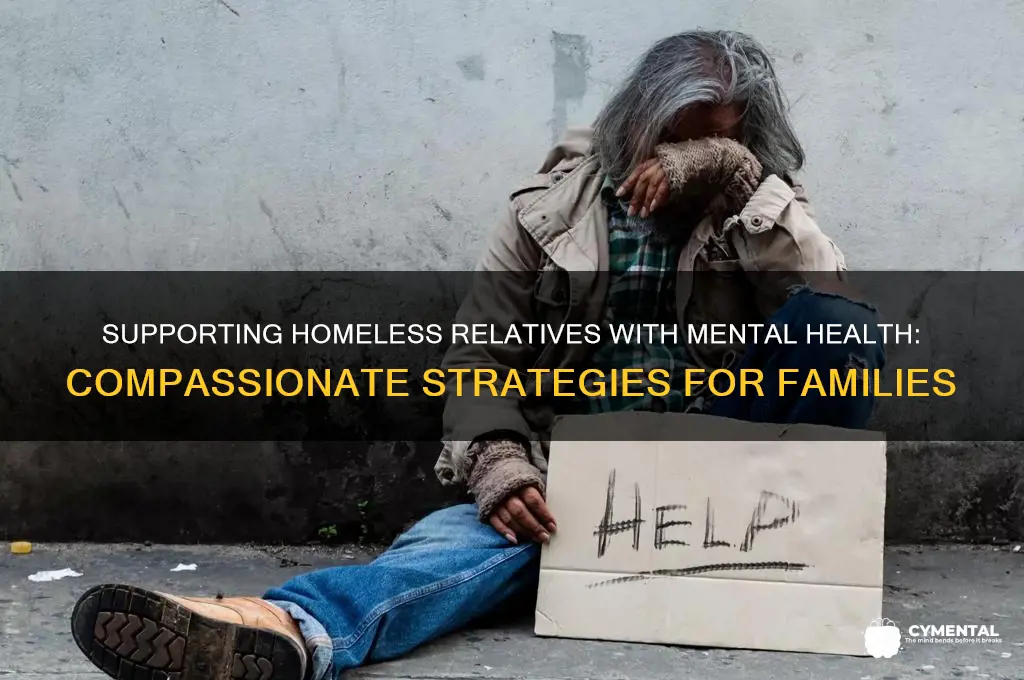 how to help a homeless family member with mental illness