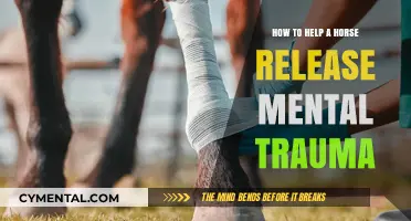 Healing Equine Minds: Gentle Techniques to Release Horse Trauma