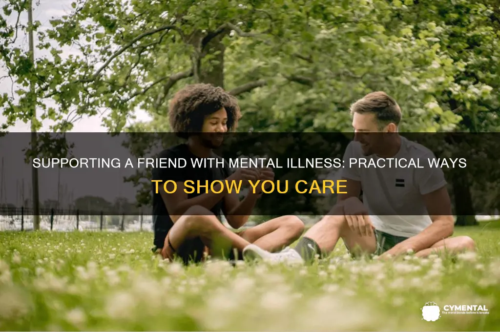 how to help a mentally ill friend