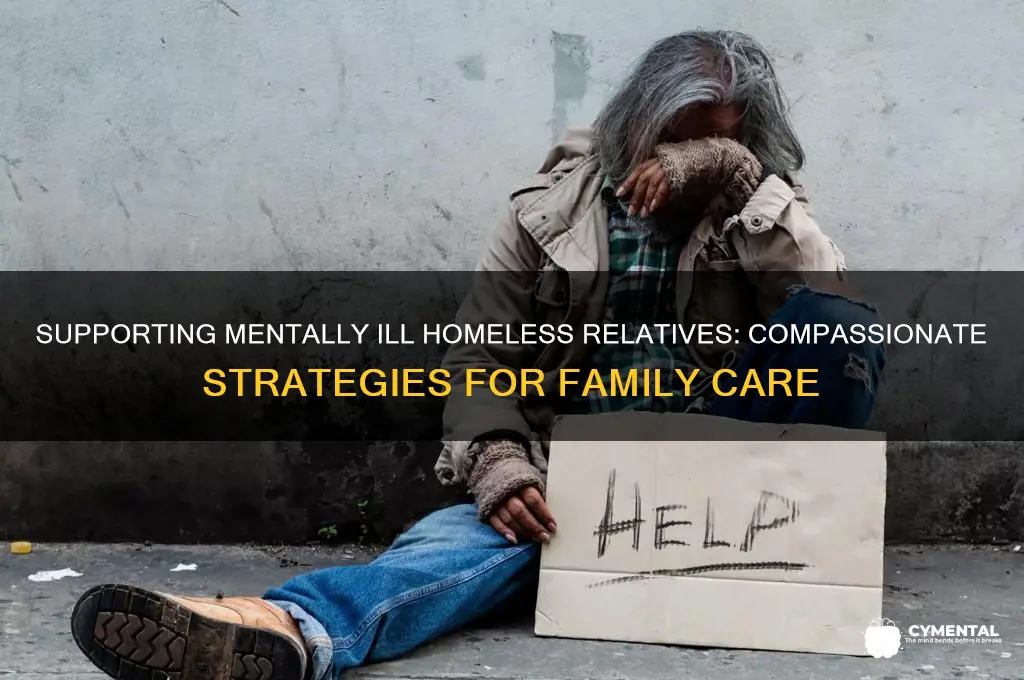 how to help a mentally ill homeless family member