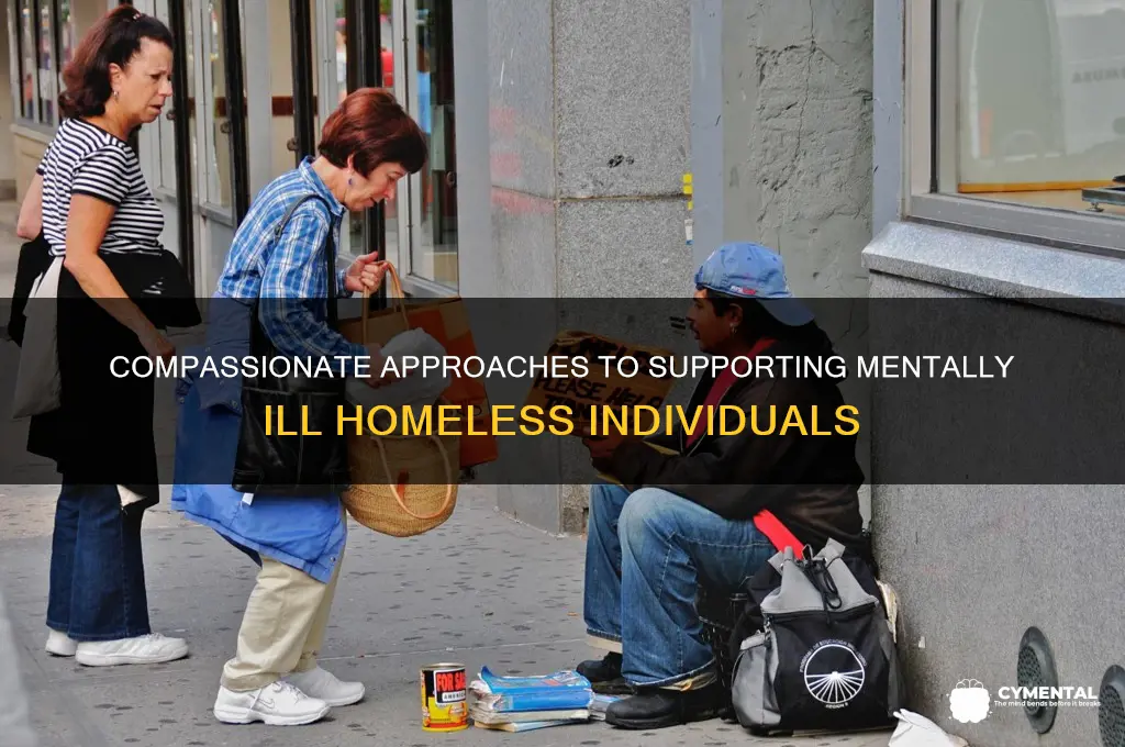 how to help a mentally ill homeless person