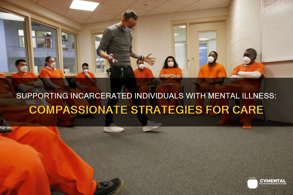 how to help a mentally ill person in jail