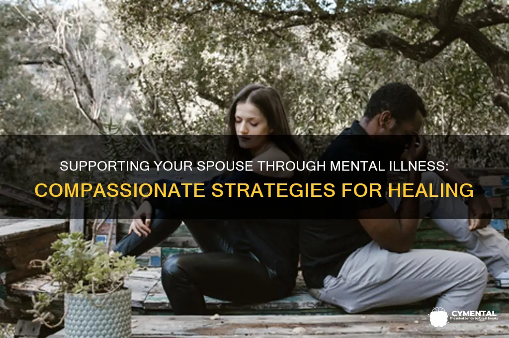 how to help a spiuse wirh mental illness