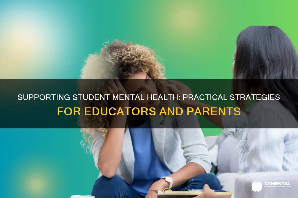 how to help a student mental health