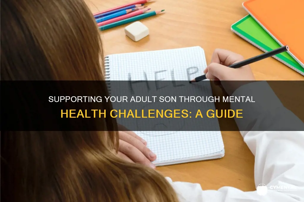 how to help adult son with mental illness